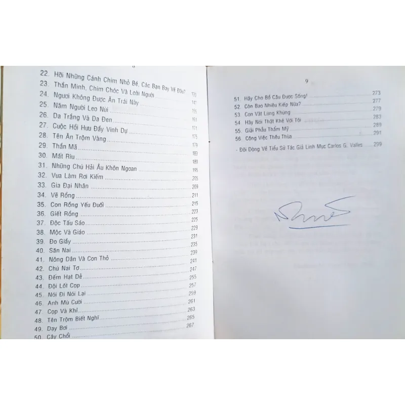 Những câu chuyện về thành đô Thiên Chúa 🌻 704279