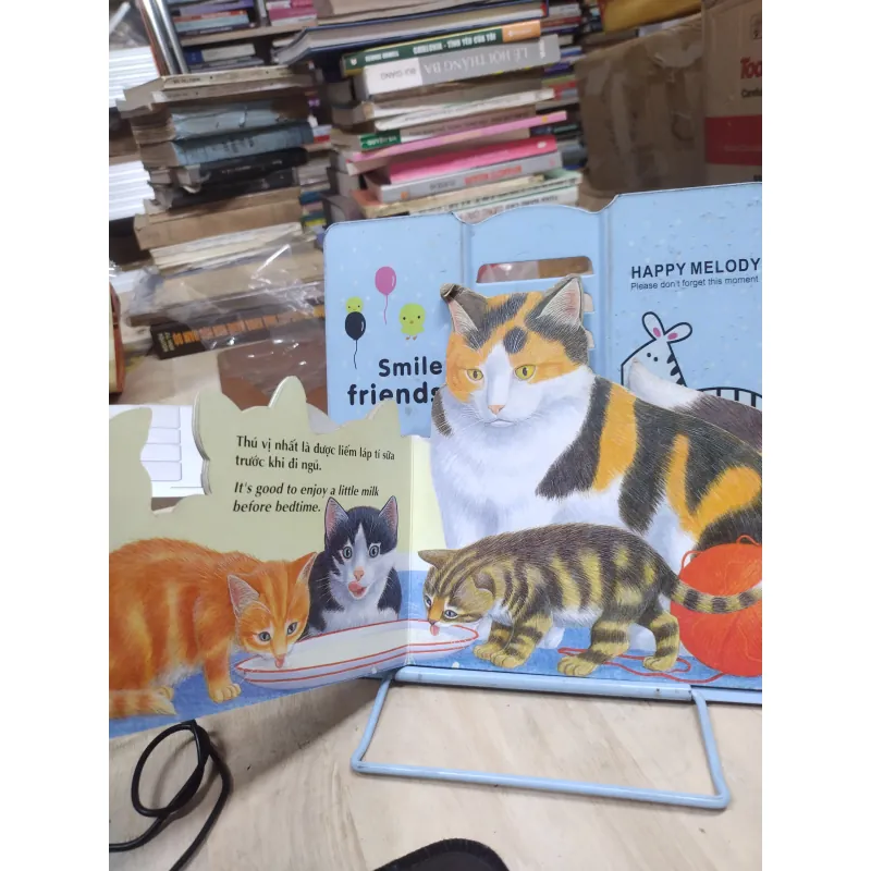 Sách: Kitten - Mèo con - Emma Books - Sách tiếng Anh cho bé 971922