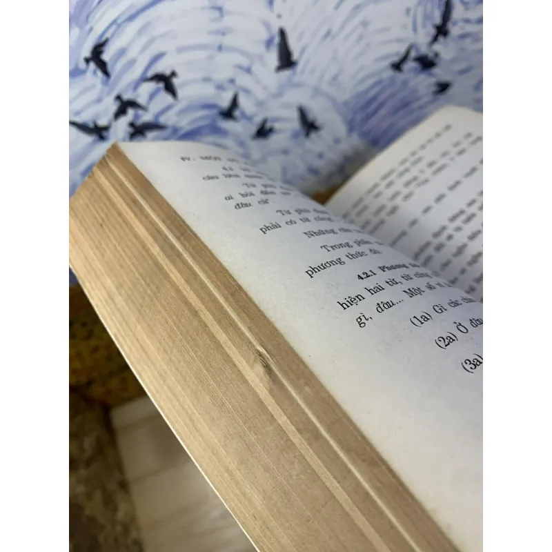 Logic và Tiếng Việt - Nguyễn Đức Dân 760490