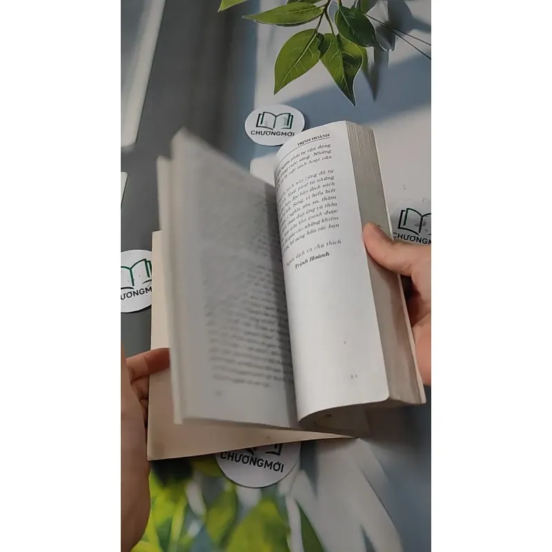 Học Thuyết Vân Bàn Tay Của Gia Cát Khổng Minh - Trình Hoành 727277