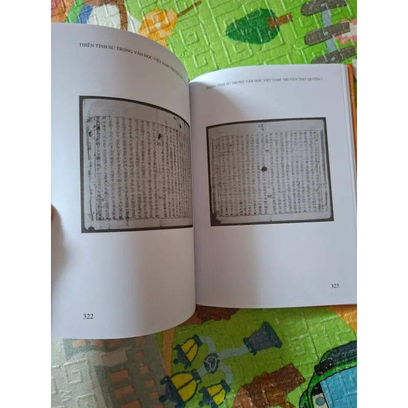 Thiên tình sử trong văn học Việt Nam - Truyện thơ, Quyển 1 1000944