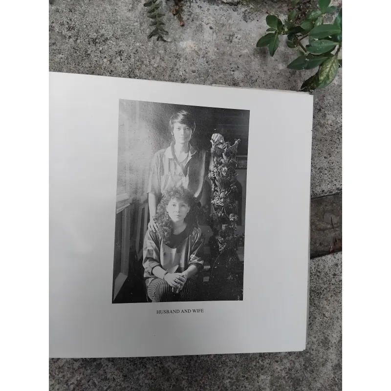 Vựng tập mỹ thuật Bùi Mai Hiên, Đào Anh Khánh  1028214