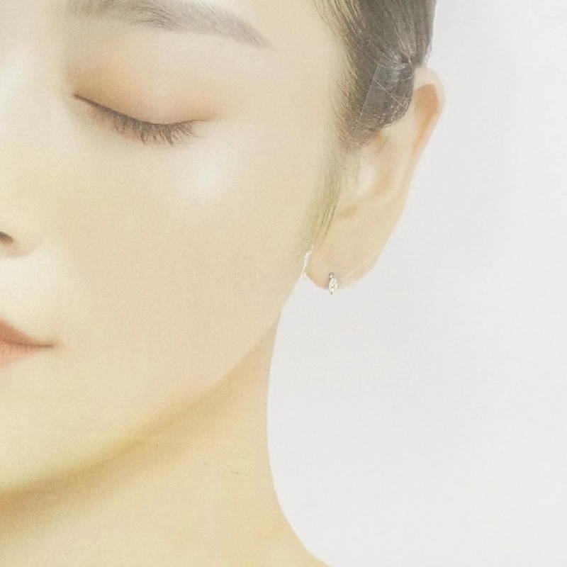 PT900 Bông tai kim cương 0.22CT - Hàng hiệu Chính hãng 867037