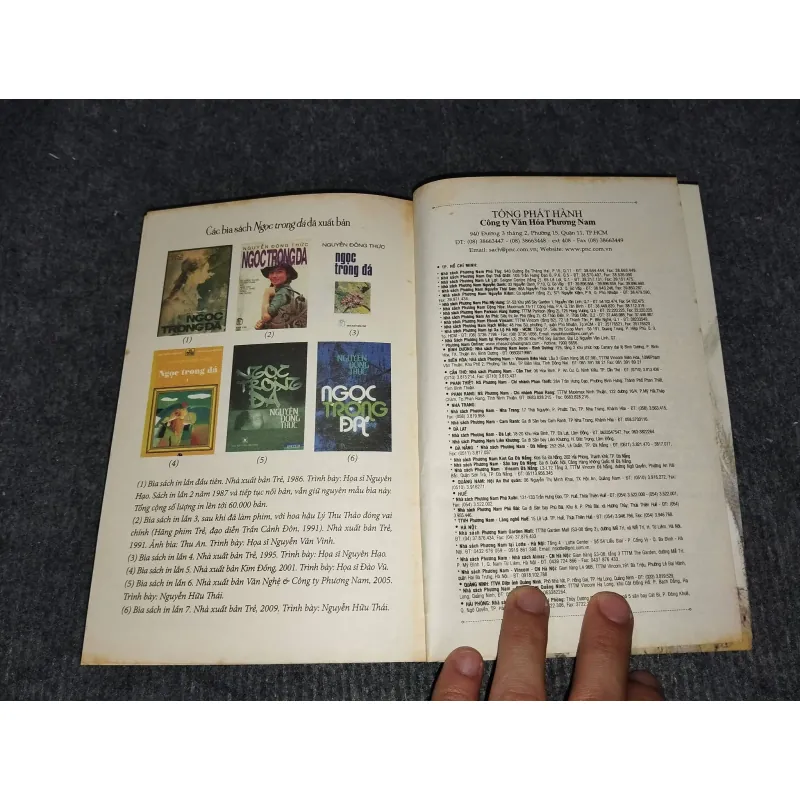 NGỌC TRONG ĐÁ - NGUYỄN ĐÔNG THỨC 991156