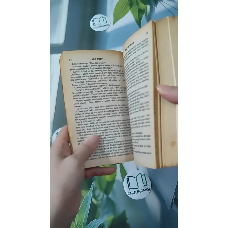 Seas of Crisis - Joe Buff 1026745