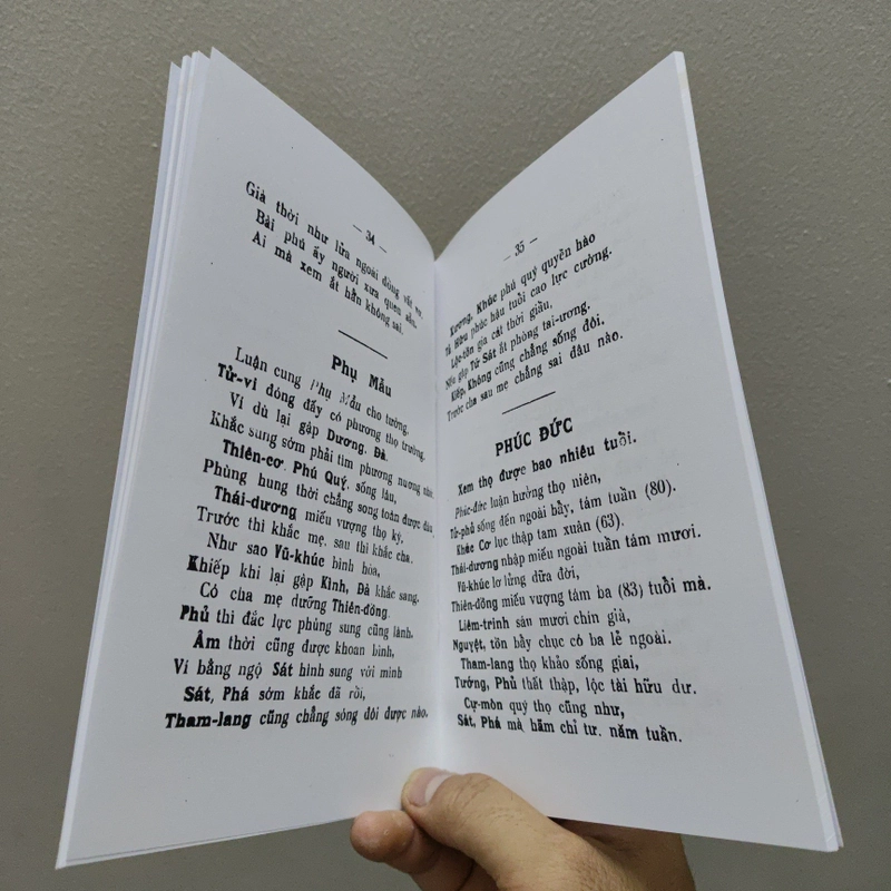 Tử Vi Văn Vần - Đỗ Văn Lưu tức Song An 477359
