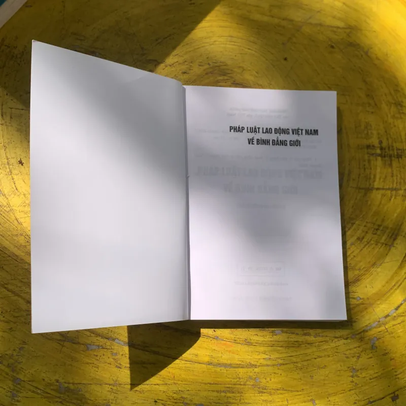 PHÁP LUẬT VIỆT NAM VỀ BÌNH ĐẲNG GIỚI- TS. HÀ THỊ HOA PHƯỢNG  780568