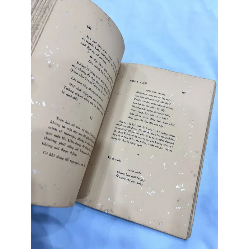 Chơi chữ - Lãng Nhân (bản đặc biệt có thủ bút tác giả) 589172