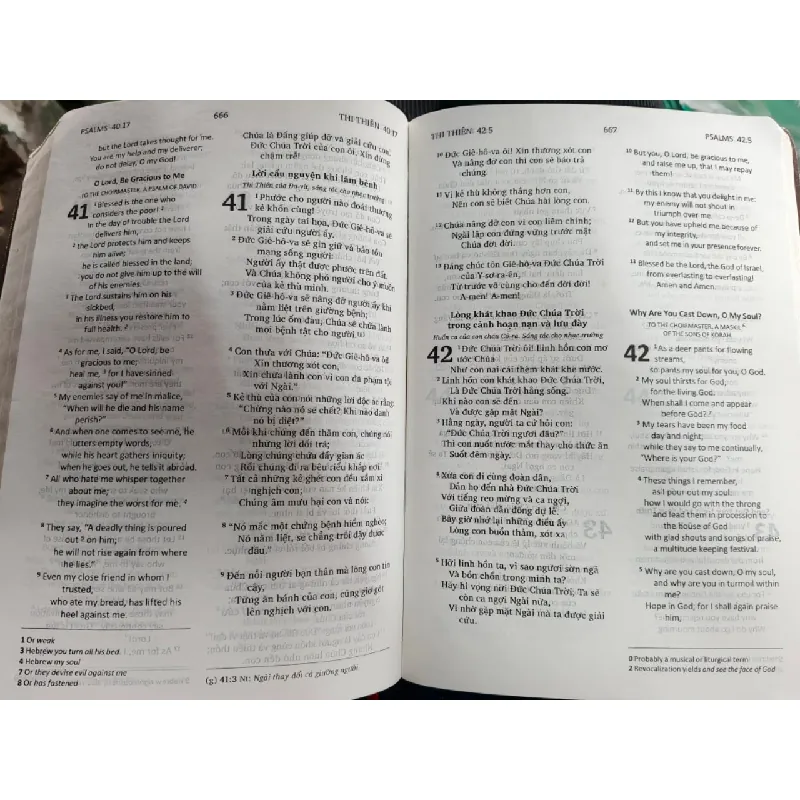 Kinh thánh Tân ước thi thiên và châm ngôn 716321