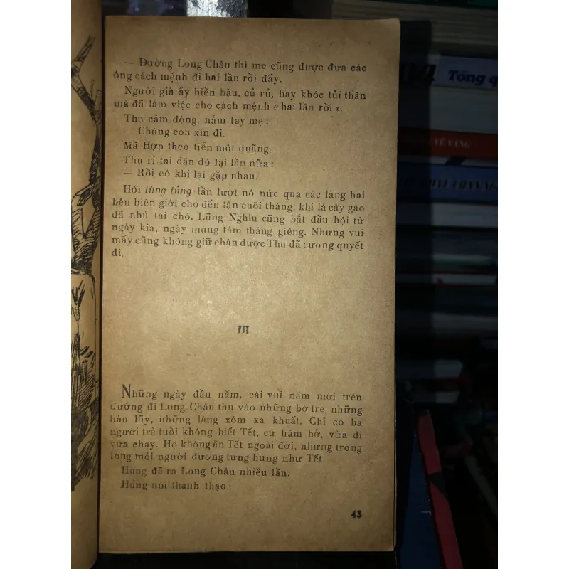 Tuổi trẻ Hoàng Văn Thụ - Tô Hoài  797507