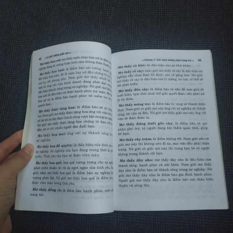 Lý giải những Giấc mơ - Ngô Nguyên Tông - Nguyễn Đặng Thùy An (biên dịch) 682154
