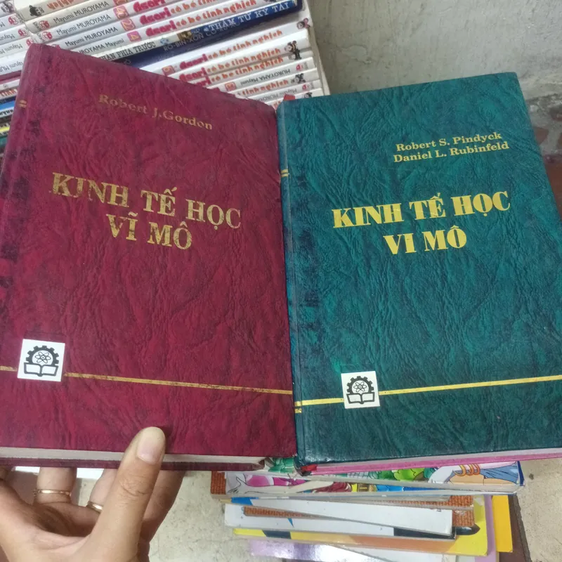 Kinh Tế Học Vi Mô+ Kinh Tế Học Vĩ Mô 696642