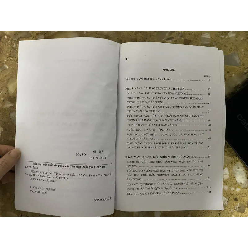 Một góc nhìn văn hóa: Vấn đề và suy ngẫm 1013597