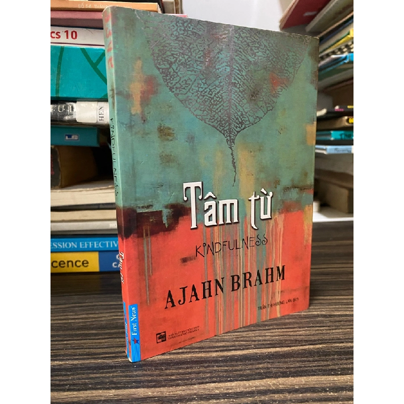 Tâm từ - Ajahn Brahm ( Trần Thị Hương Lan dịch ) 448863