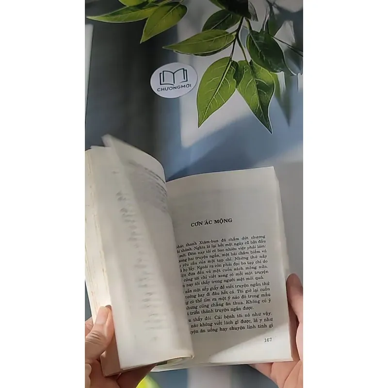 Những Người Thích Đùa 607673