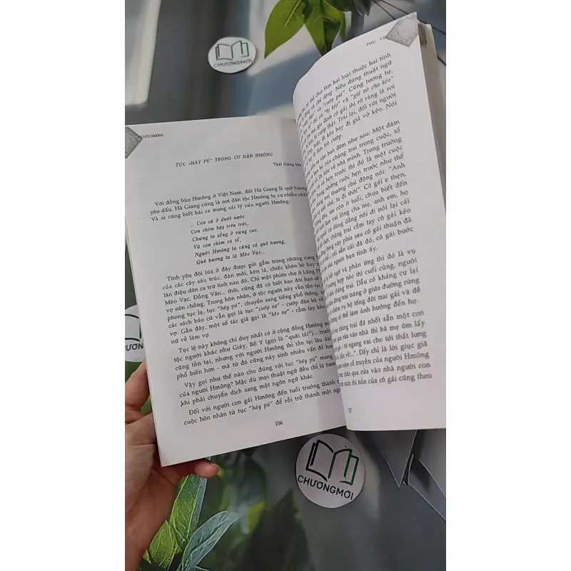 Người H'mông - Chu Thái Sơn & Trần Thị Thu Thủy 1018826