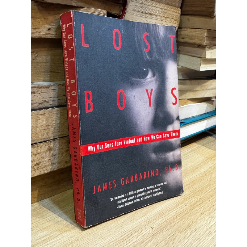 Lost Boys - James Garbarino 472440