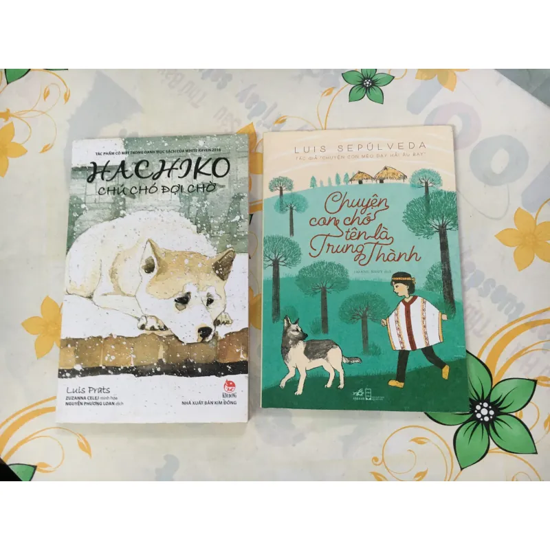 Mật mã tây tạng tập 5, hiệp khách hành,… 753341