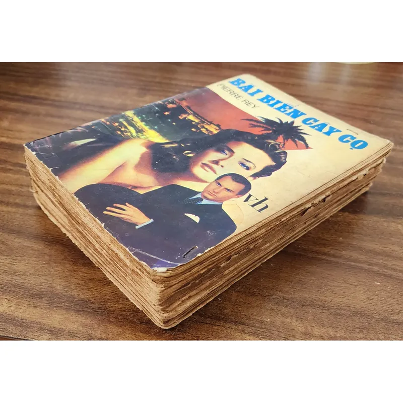 Tiểu thuyết của PIERRE REY - BÃI BIỂN CÂY CỌ (517 trang) 727198