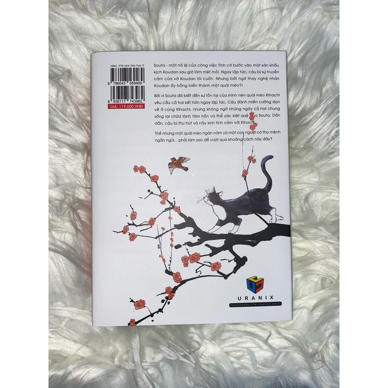 Manga boylove 'Quái mèo độc tấu' tặng kèm postcard - Dento Hayane 476777