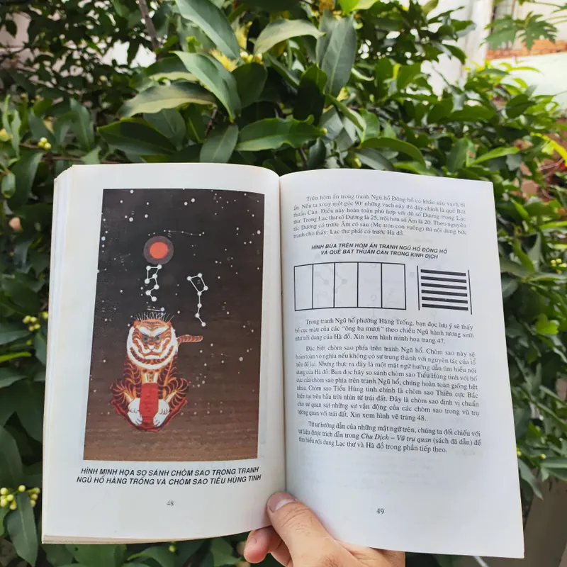 Thời Hùng Vương & Bí Ẩn Lục Thập Hoa Giáp - Nguyễn Vũ Tuấn Anh 722522