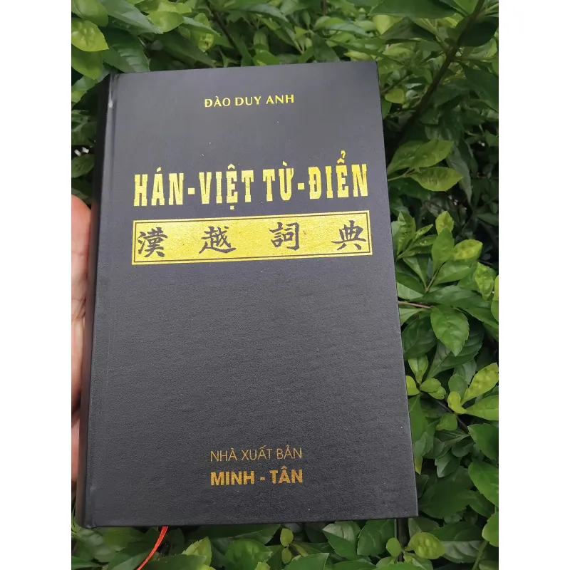 Hán Việt từ điển của Đào Duy Anh  999720