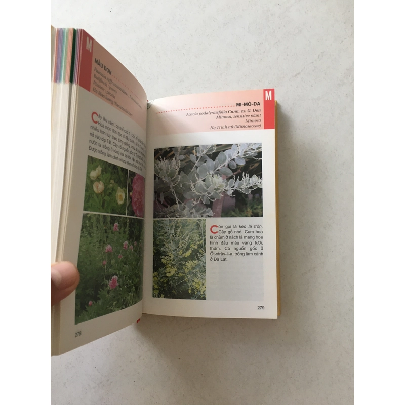 Từ Điển Tranh Về Các Loài Hoa - Lê Quang Long chủ biên 545524