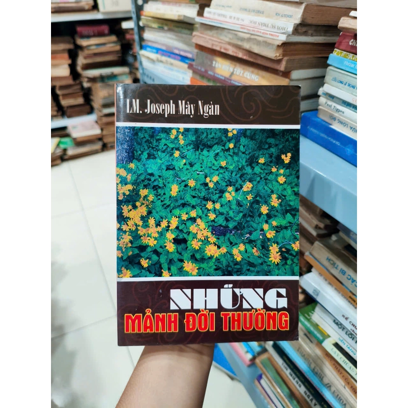 Những Mảnh Đời Thường 494169