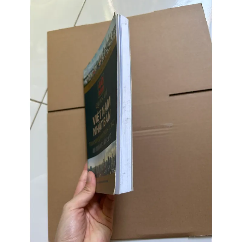 40 năm quan hệ Việt Nam Nhật Bản thành quả và triển vọng 747609