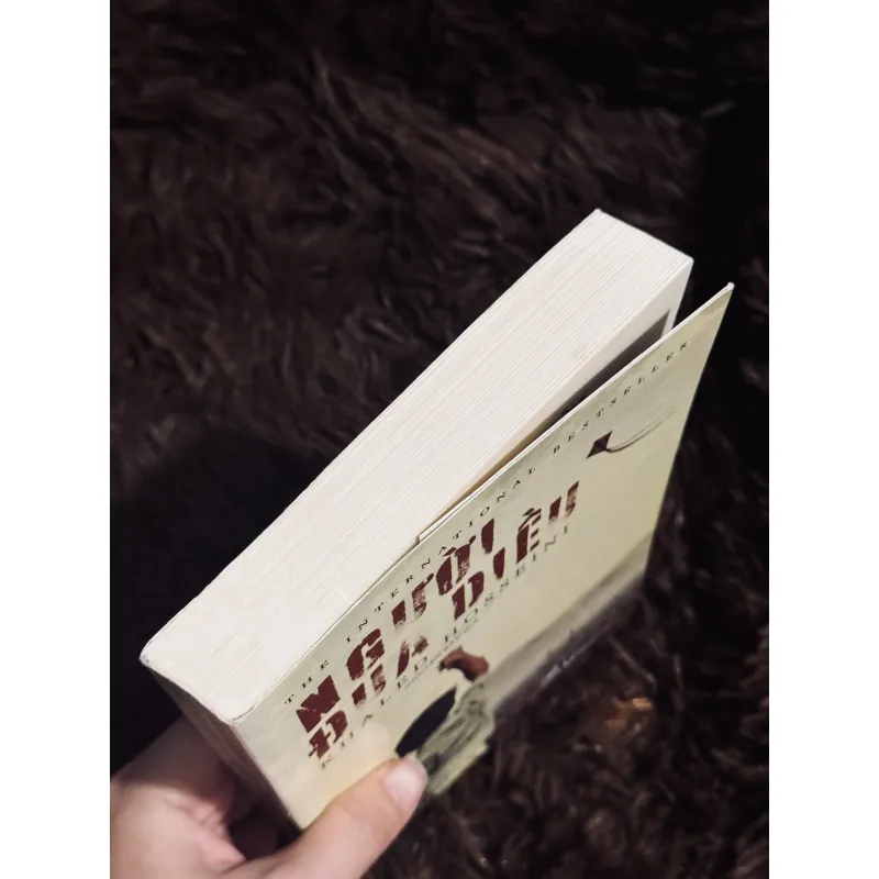 Người đua diều 933803