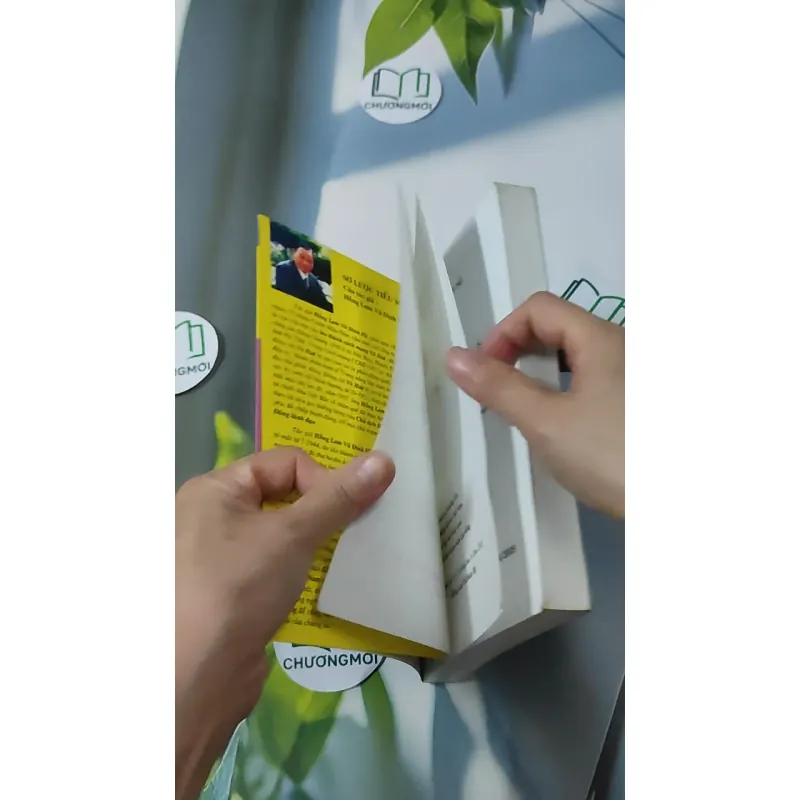 Việt Nam Bất Khuất - Việt Nam Kiên Cường - Hồng Lam Vũ Đình Hệ 928612