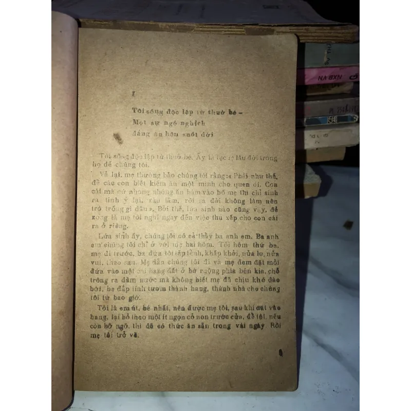 Dế mèn phiêu lưu ký - Tô Hoài 1037803