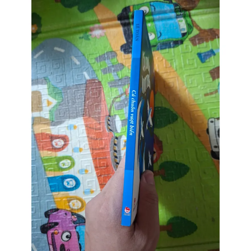 Cá chuồn vượt biển 1041012