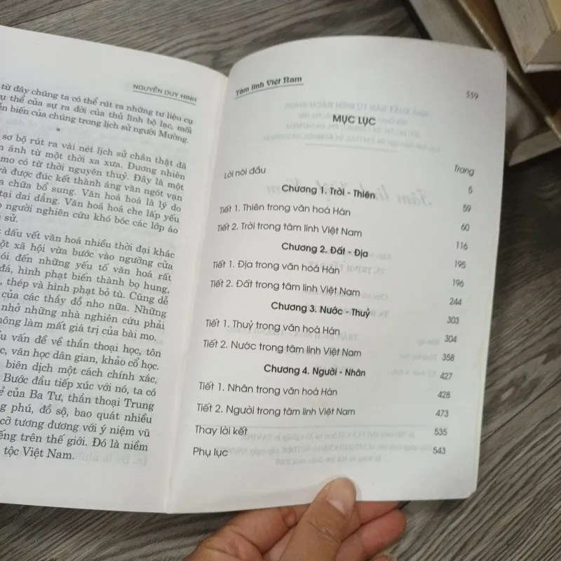 Tâm Linh Việt Nam - PGS. Nguyễn Duy Hinh 782337