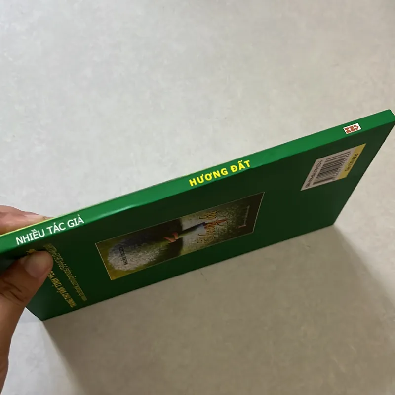 Hương Đất  561436