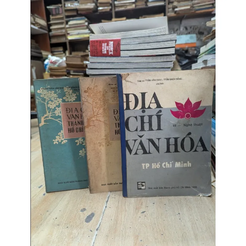 Địa chí văn hoá thành phố Hồ Chí Minh - Trần Văn Giàu & nhóm biên soạn ( sách khổ to ) 128003