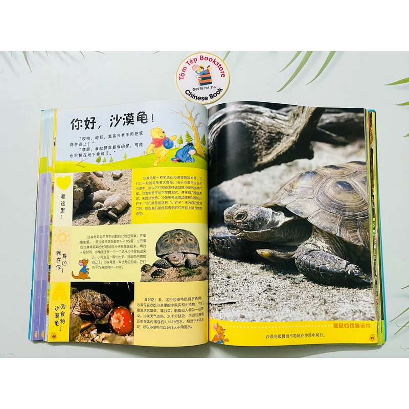 Winnie the Pooh Bách khoa thư đầu tiên cho bé- Tiếng Trung 478979