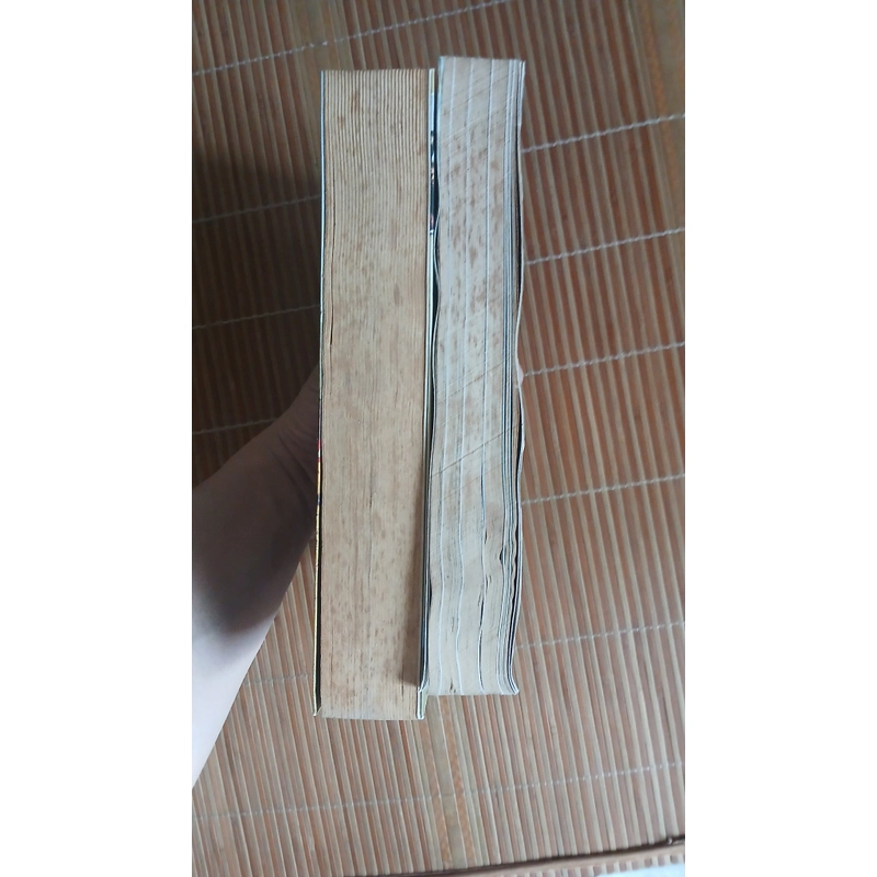 Sách Xách ba lô lên và đi 451528