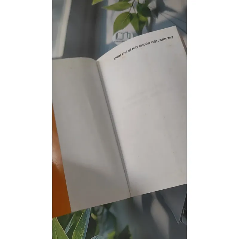 Khám Phá Bí Mật Khuôn Mặt Và Bàn Tay - Từ Liêm 928504