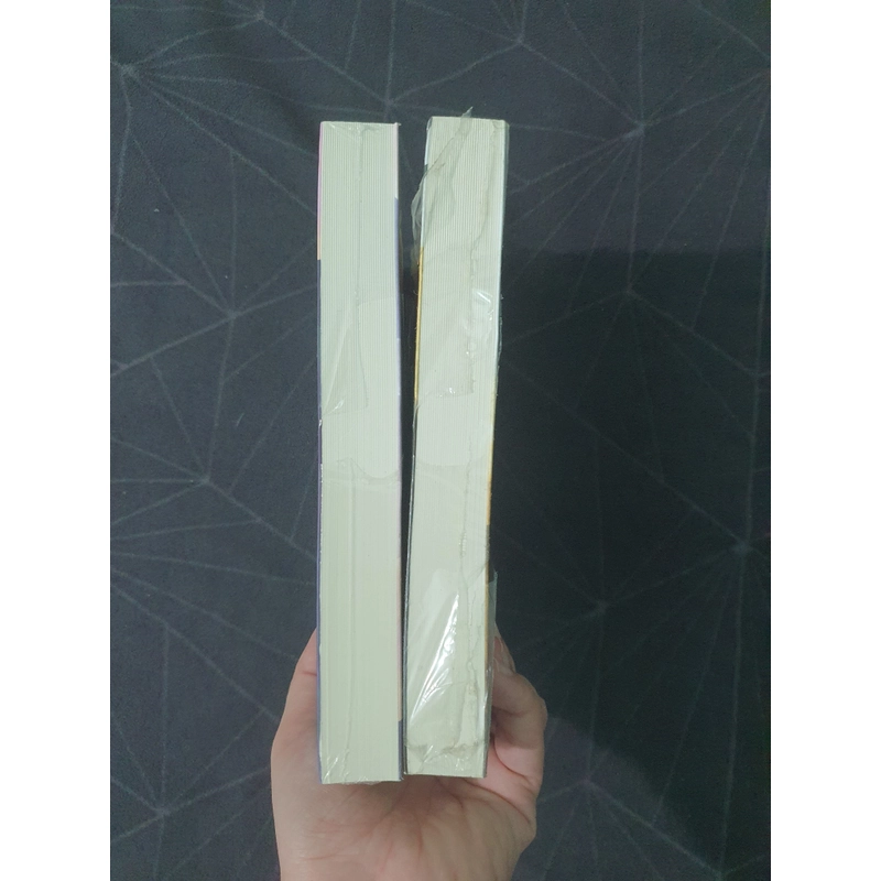 Combo "Tương tư thành nắm tro tàn" (seal) - Tuyết Ảnh Sương Hồn 492901