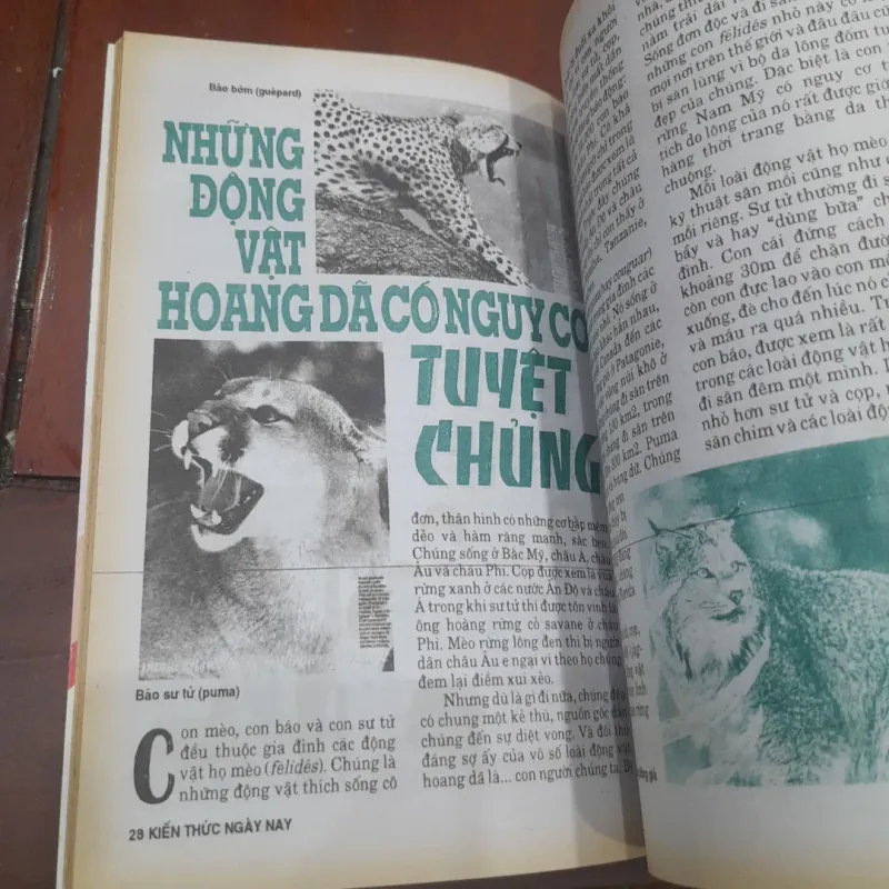 KIẾN THỨC NGÀY NAY số 225 ngày 20-10-1996 752947