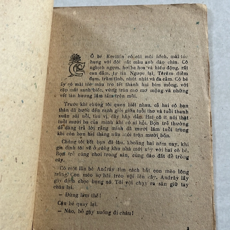 Tâm tình thiếu nữ — 1985s 497677