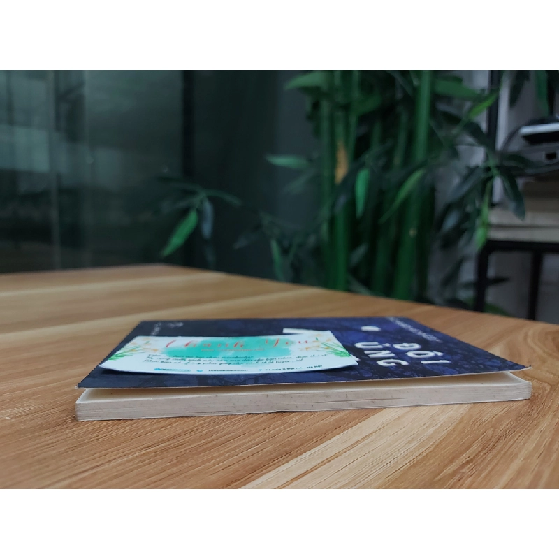 Đôi ủng ma 550504