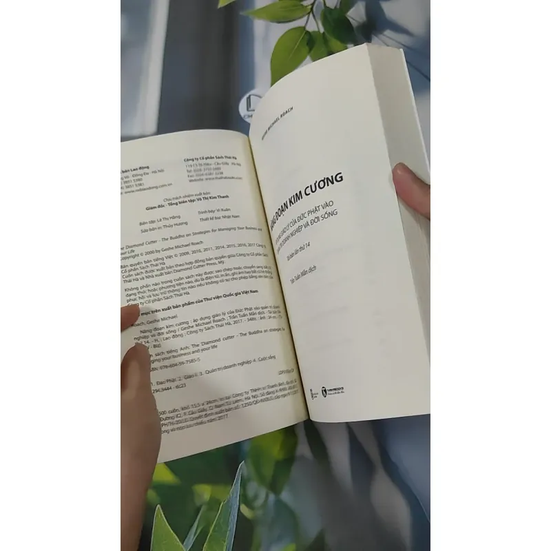 Năng Đoạn Kim Cương - Geshe Michael Roach 961153