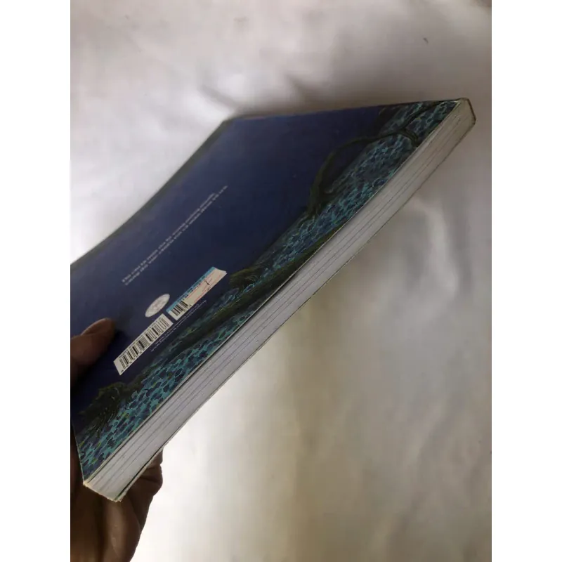 Hòn Đá Xanh - Jimmy Liao 788091