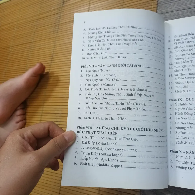 Giáo Trình Phật Học - Chan Khoon San 989740