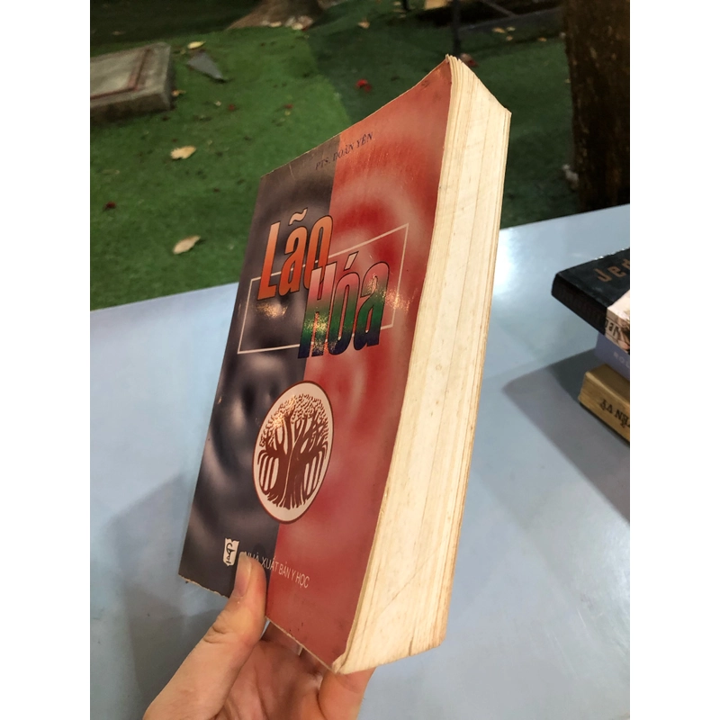 LÃO HOÁ - Đoàn Yên 461842