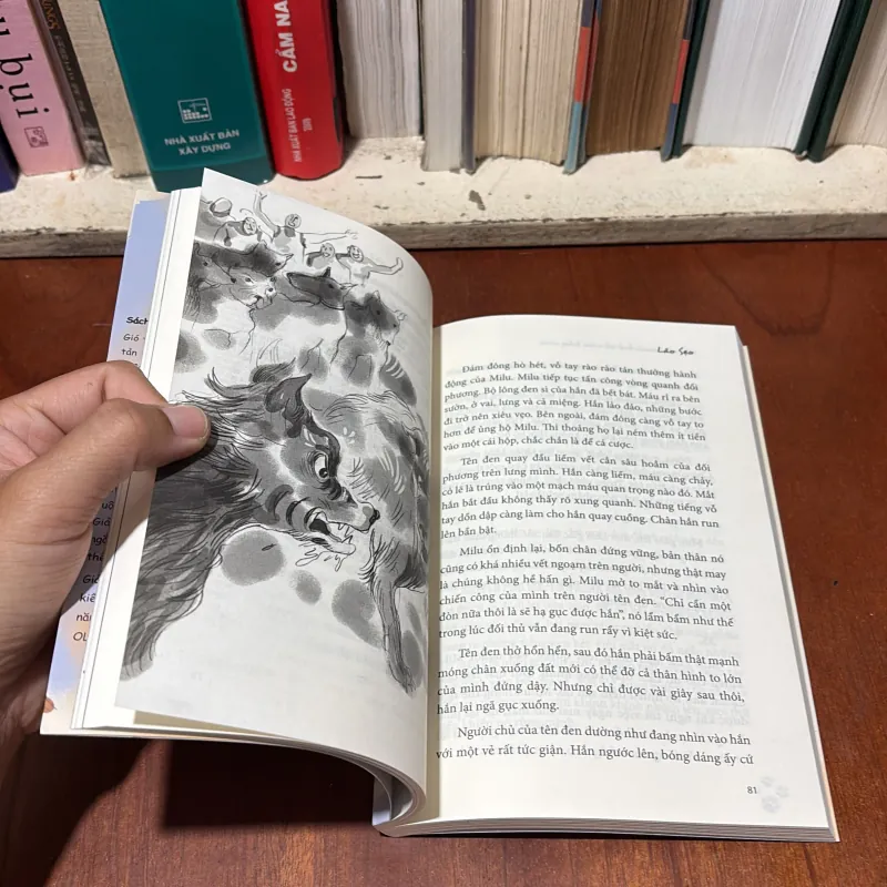 II Truyện Dài Thiếu Nhi: Hành Trình Trở Về Của Bầy Chó - Bùi Mai Linh - 2023 752185