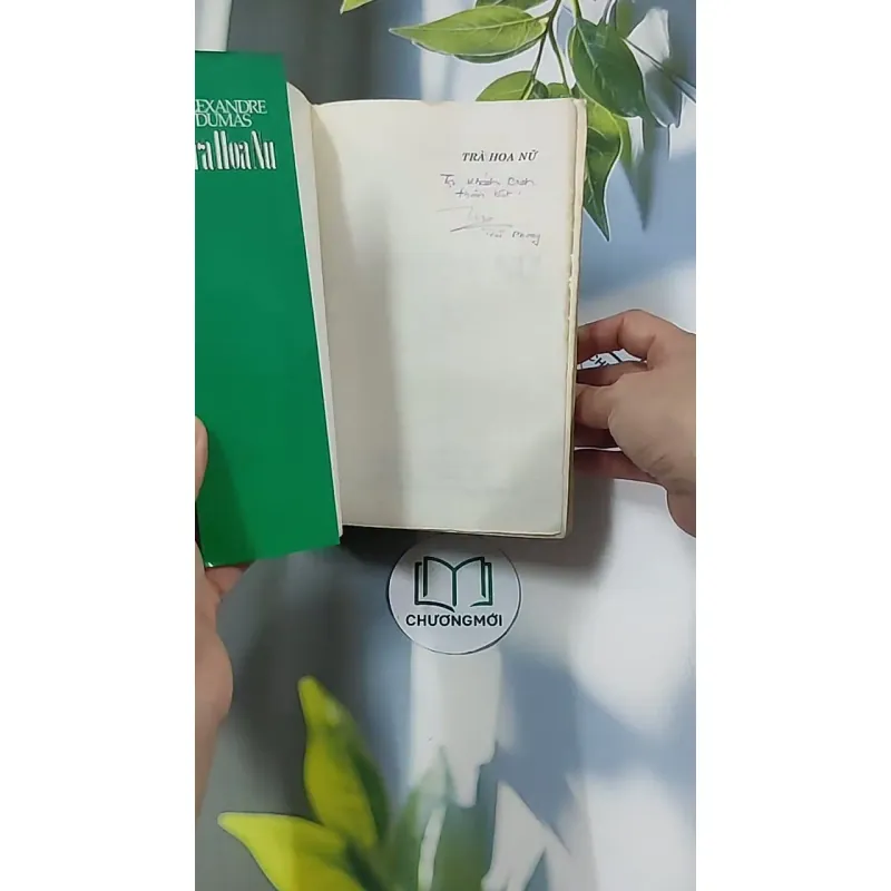 Trà Hoa Nữ 674981