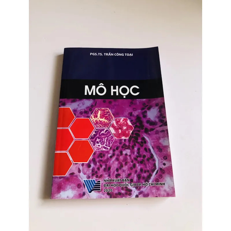 MÔ HỌC  2020 701980